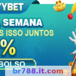 Article Image 1